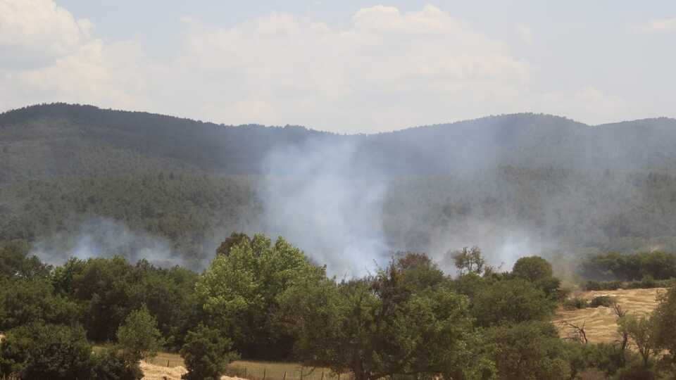 Çanakkale'de anız yangını ormana sıçradı!