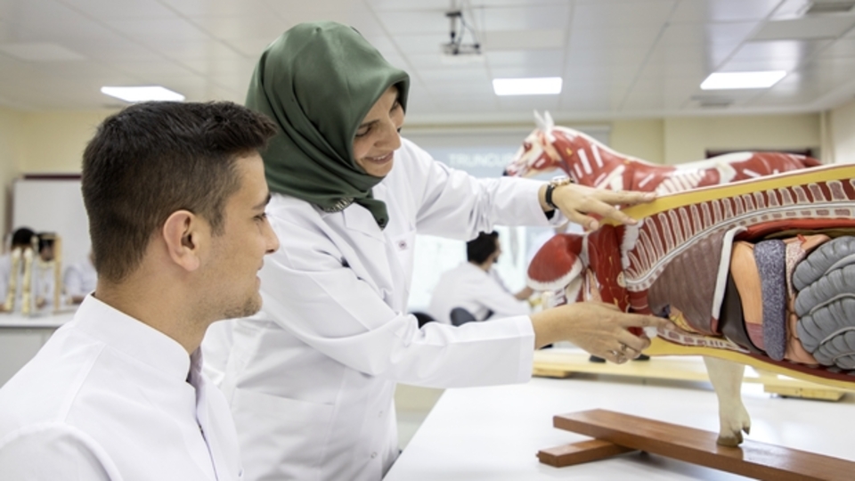 Veterinerlik taban puanları ÖSYM 2022