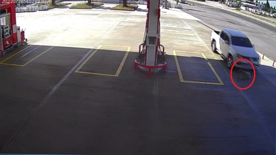 Canilik! Köpeği gördü, yolunu değiştirip ezdi