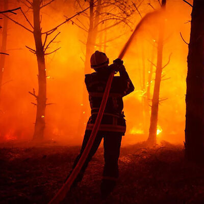 Avrupa'daki orman yangınları yaklaşık dört katına çıktı