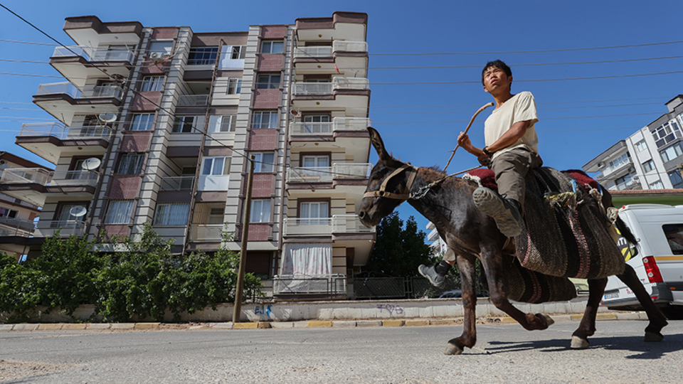 Japon turist Merzifon'dan aldı... Türkiye'yi gezdi!