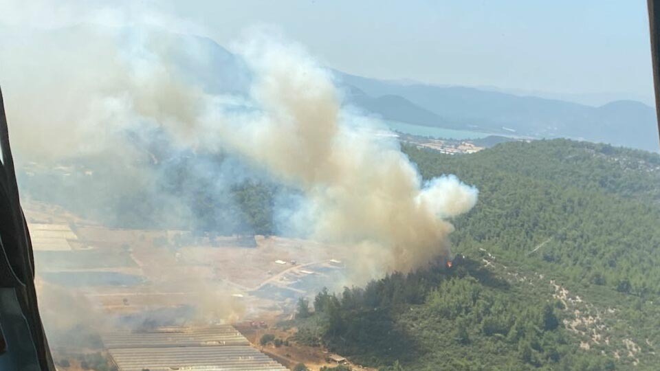 3 kentte peş peşe orman yangını çıktı!
