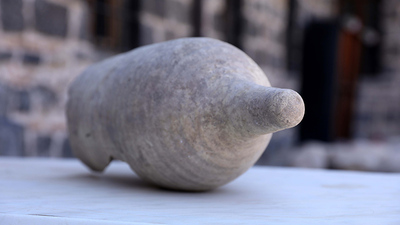 Bölgede nadir rastlanıyor... Diyarbakır'da önemli keşif