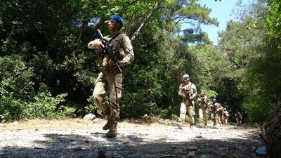 Aydın'da ormana giren 68 kişiye 39 bin TL ceza