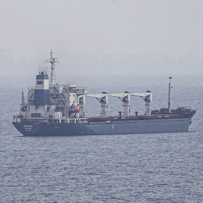 Tahıl gemisi İstanbul'a ulaştı