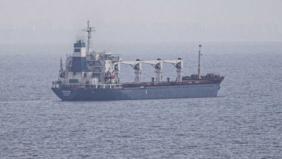 Tahıl gemisi İstanbul'a ulaştı