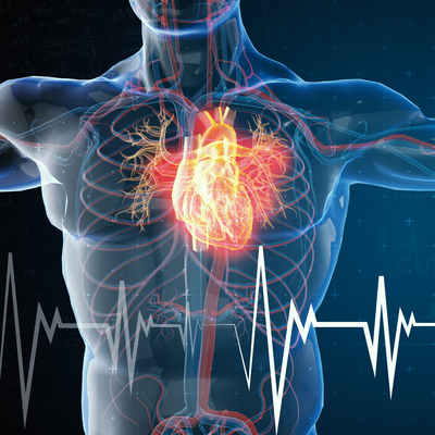 'Sıcak havadan ölüm riski kalabalık şehirlerde daha yüksek'