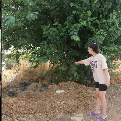 Birkaç gün önce dünyaya geldi, sokağa atıldı!