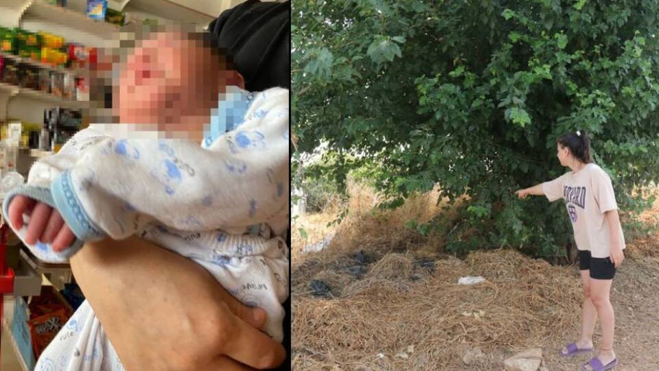 Birkaç gün önce dünyaya geldi, sokağa atıldı!