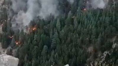 Mersin'de orman yangını 2'nci gününde