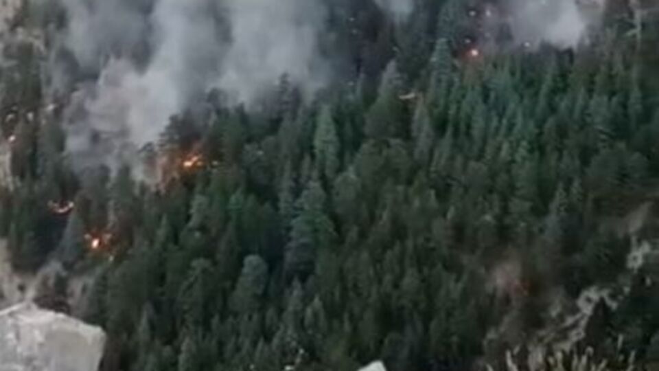 Mersin'de orman yangını 2'nci gününde