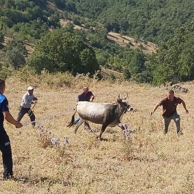 25 gün sonra bulunmuştu! Ahbap devrede!