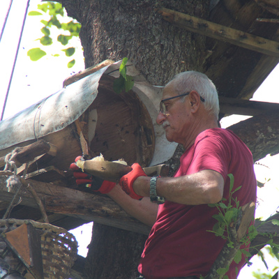 İçlerini oyup ağaç dallarına yerleştiriyorlar... Kilosu 600 lira!