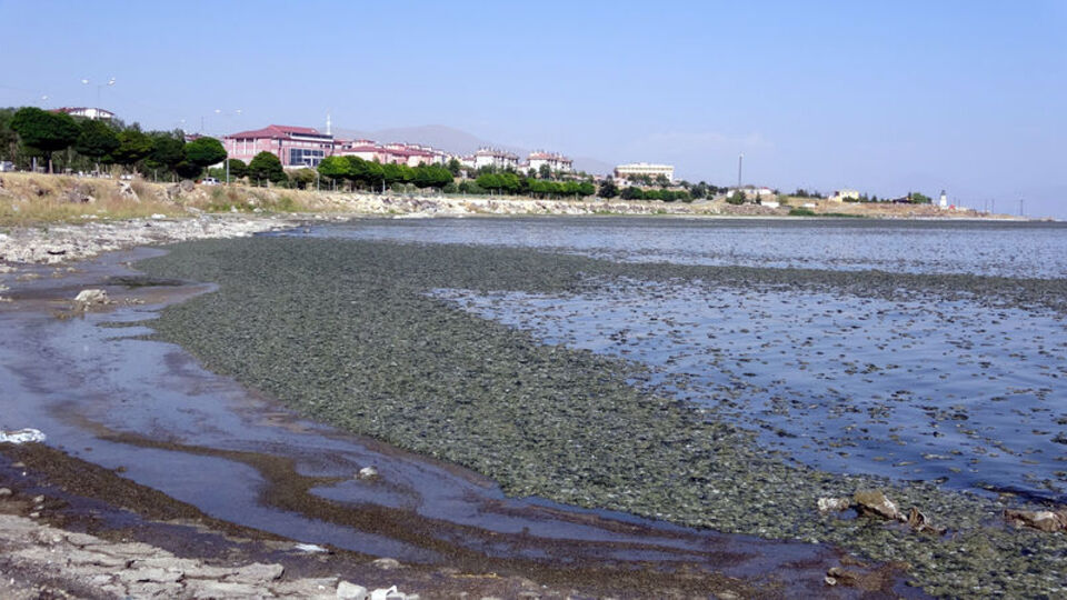 Van Gölü'nde ne oluyor?