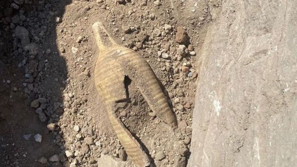 Bölgede ilk kez bulunmuştu... Müzeye teslim edildi