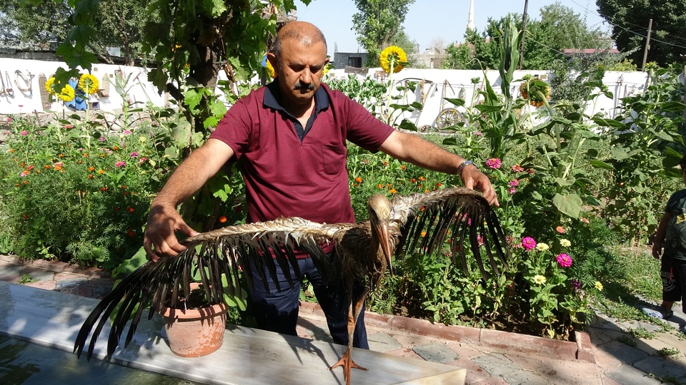 3 gün şampuanla yıkadı ama temizleyemedi! "Aklımıza başka ihtimal gelmiyor"