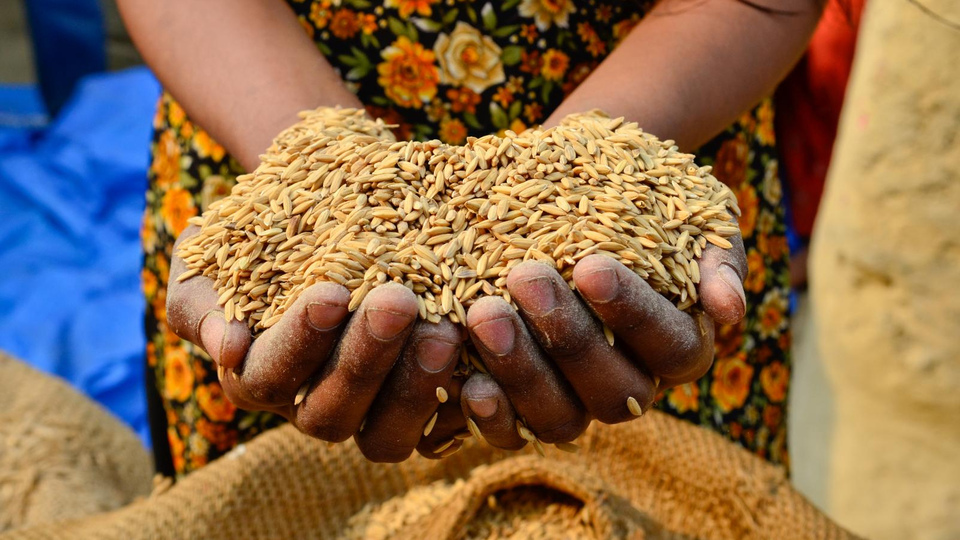 Küresel gıda fiyatlarında düşüş