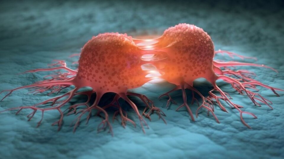 Kanserde korkutan tablo