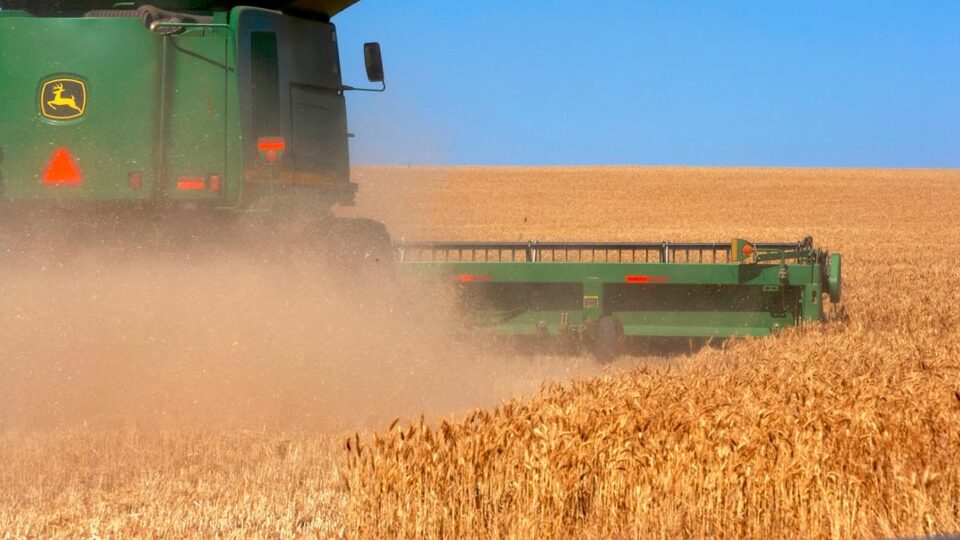 Rusya tahıl ihracatını düşürebilir