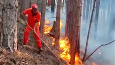 Mersin'deki yangın kısmen kontrol altında