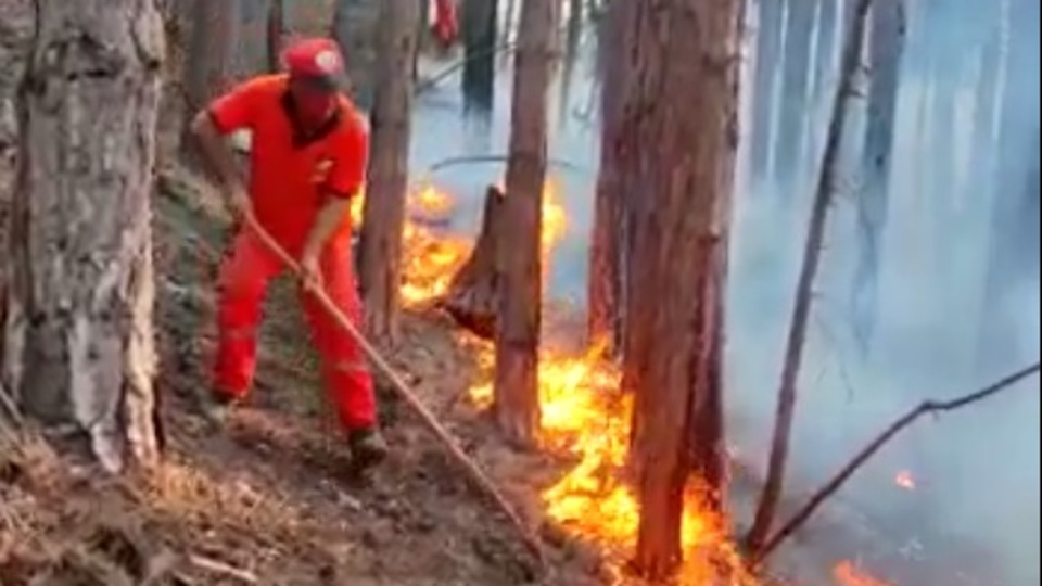 Mersin'deki yangın kısmen kontrol altında