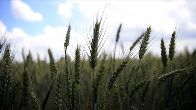 Emtialar yön arayışında