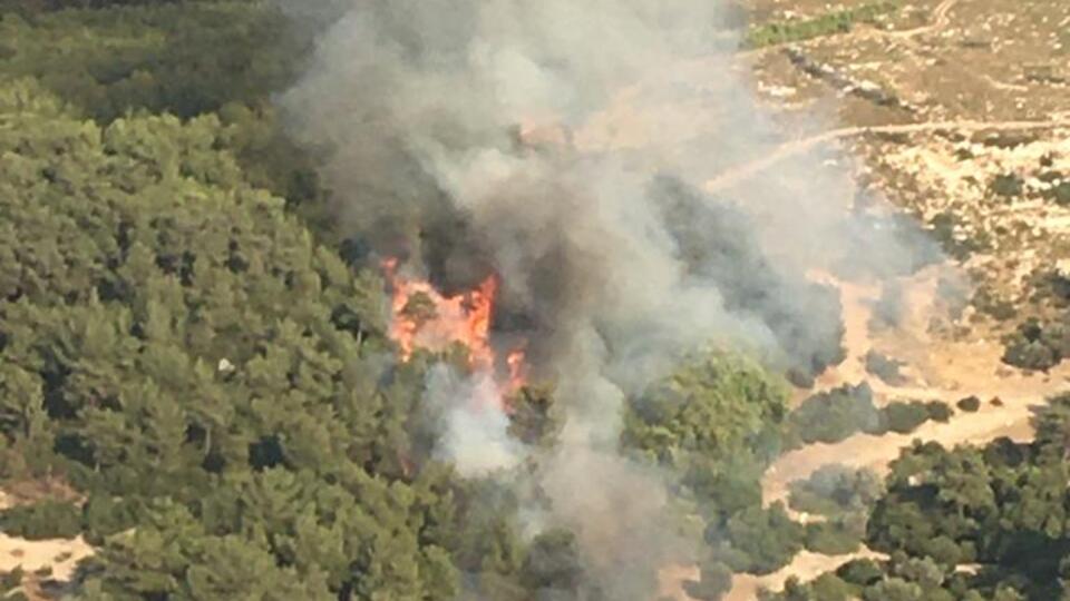 İzmir'de orman yangını çıktı!
