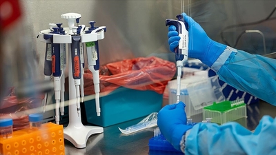 Almanya'da 4 yaşındaki çocuğa maymun çiçeği bulaştı