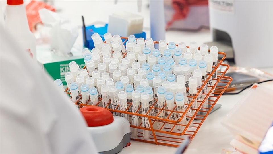 Brezilya'da virüs nedeniyle maymunlara saldırılar artıyor