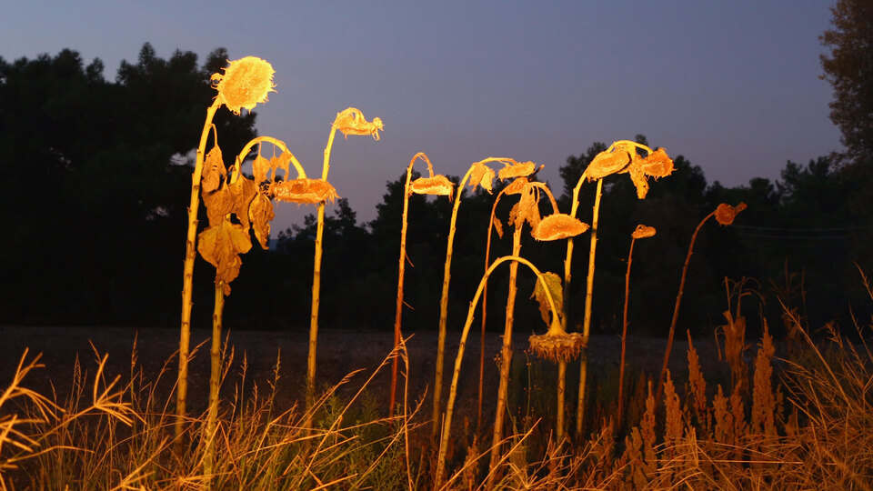 'Hayat, Ölüm, Aşk ve Adalet' sergisi