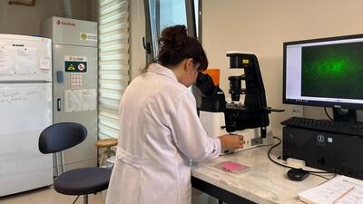 3 yıldır araştırılıyordu! Böcekler hastalık taşıyarak Türkiye'ye geliyor