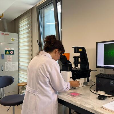 3 yıldır araştırılıyordu! Böcekler hastalık taşıyarak Türkiye'ye geliyor