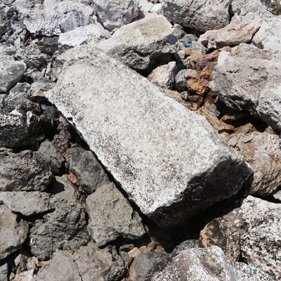 Geçen yıl yüzerken fark etmişti... Sular çekilince gün yüzüne çıktı!