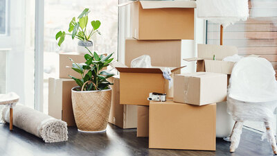 Taşınma izni var mı?