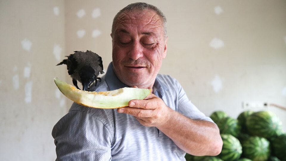 "Gözünü oyar" dediler... Gözü gibi bakıyor!