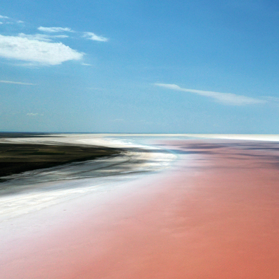 Pembeye döndü... Flamingolar da renklerini buradan alıyor