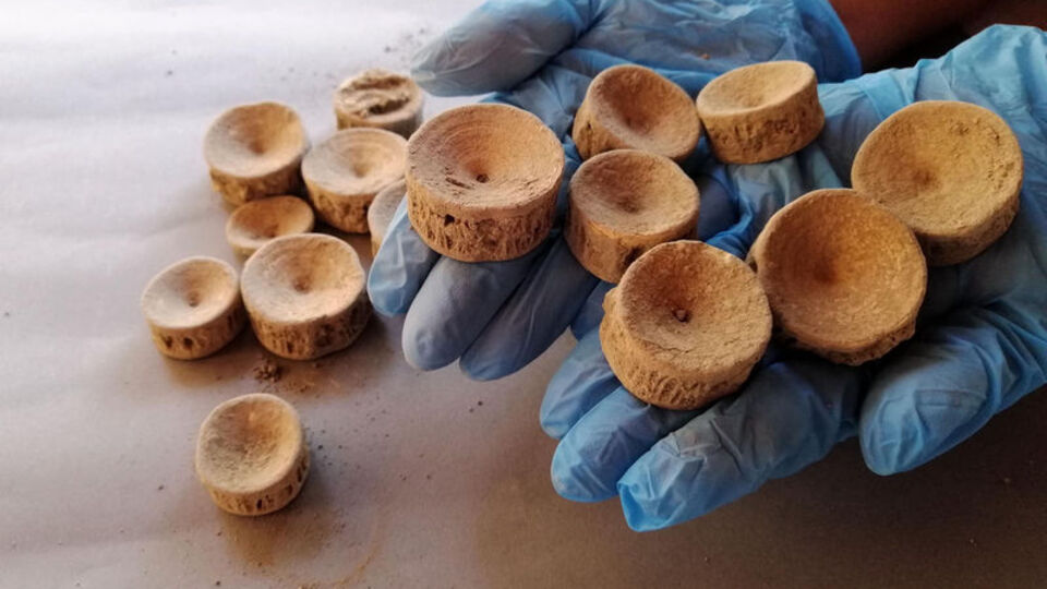 Patara'da bulundu! 2 bin 600 yıllık