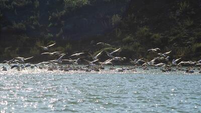 İnegöl için yeni bir atak