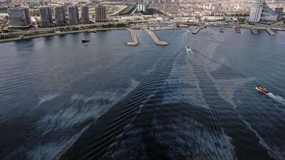 Zeytinburnu sahilindeki mazot kirliliği