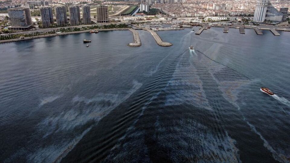 Zeytinburnu sahilindeki mazot kirliliği