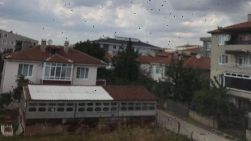 İki gündür evden dışarı çıkamıyorlar