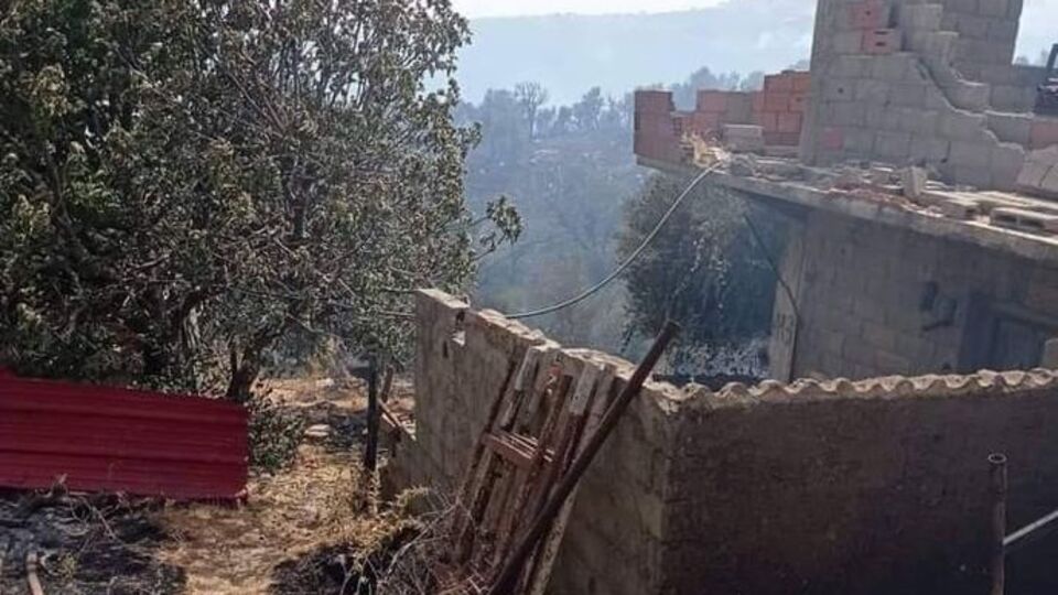 Cezayir'de orman yangını: 26 kişi hayatını kaybetti