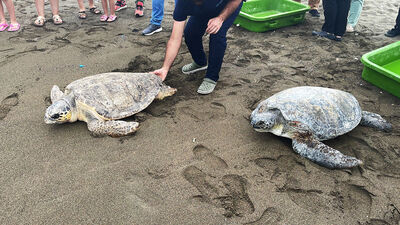 Mavi ve Deniz mavi sulara uğurlandı