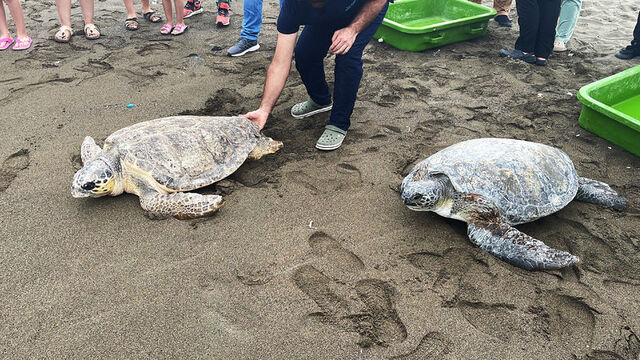 Mavi ve Deniz mavi sulara uğurlandı