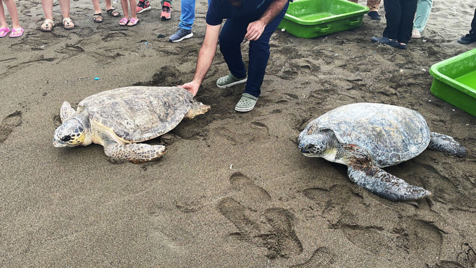 Mavi ve Deniz mavi sulara uğurlandı