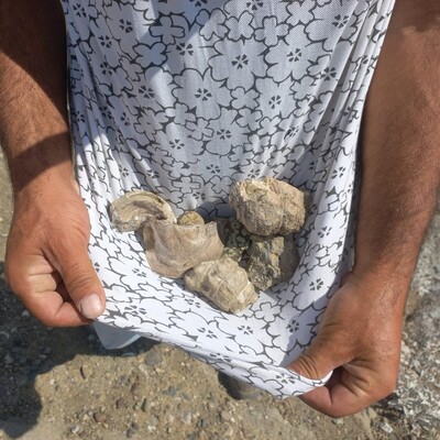 Köylüler arasında heyecan uyandırdı! Bozkırın ortasında bulundu