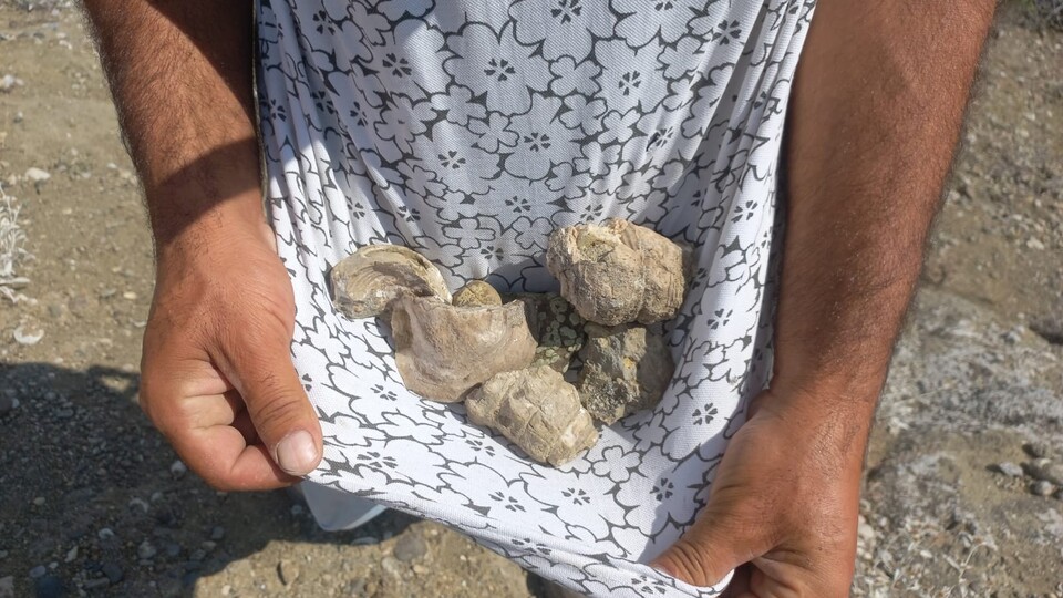 Köylüler arasında heyecan uyandırdı! Bozkırın ortasında bulundu