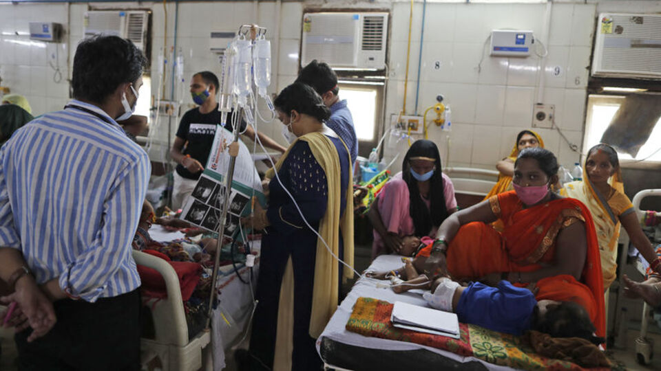 Hindistan'da 'domates gribi' alarmı