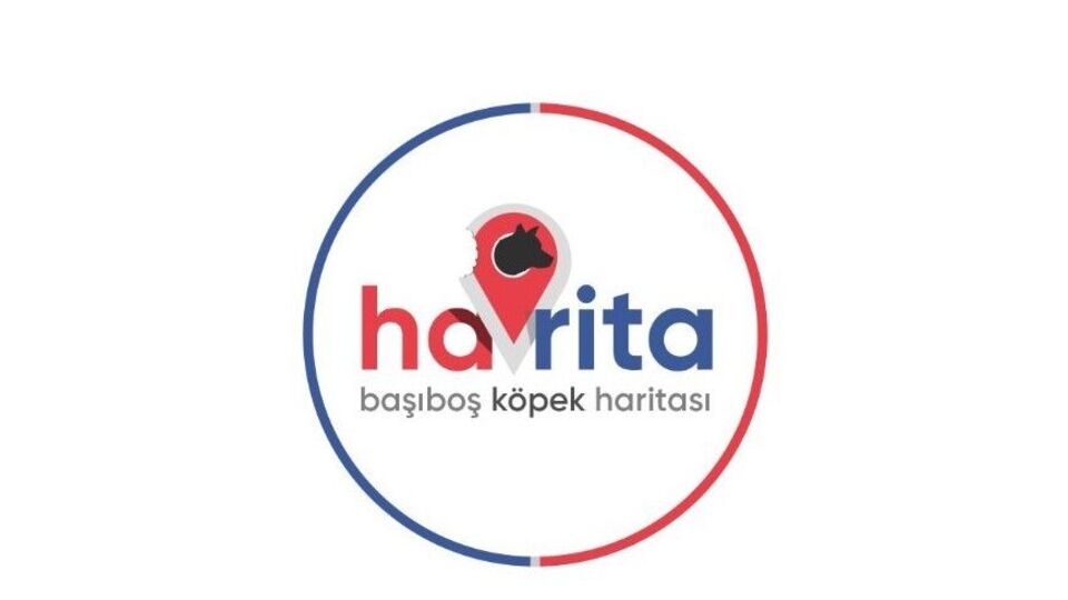 Havrita uygulaması kapandı mı?