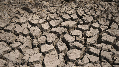 Kuraklık 113 milyon yıllık dinozor ayak izlerini ortaya çıkardı